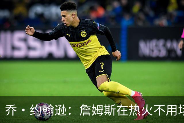 乔·约翰逊：詹姆斯在热火不用场均拿25分 还可以引进克莱