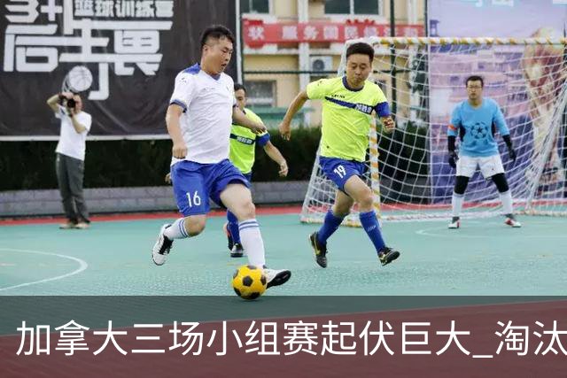 加拿大三场小组赛起伏巨大 淘汰赛若对战韩国不轻松