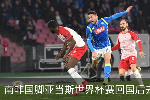 南非国脚亚当斯世界杯赛回国后去世
