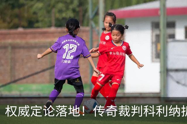 权威定论落地！传奇裁判科利纳拆解萨拉赫禁区争议：无防守犯规，球员假摔该领黄牌