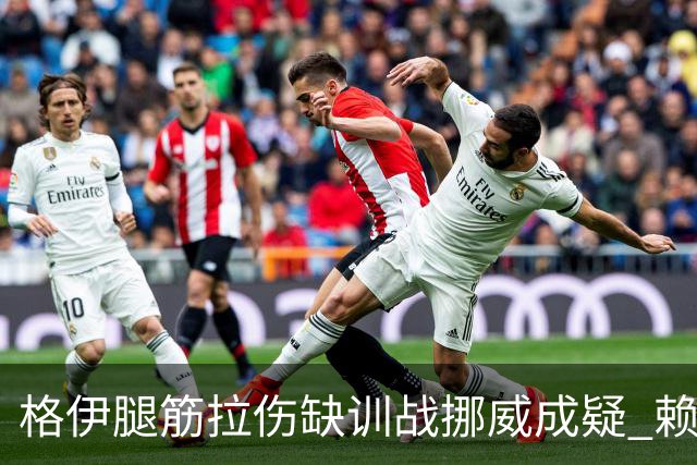 格伊腿筋拉伤缺训战挪威成疑 赖斯胃部不适和队友隔离