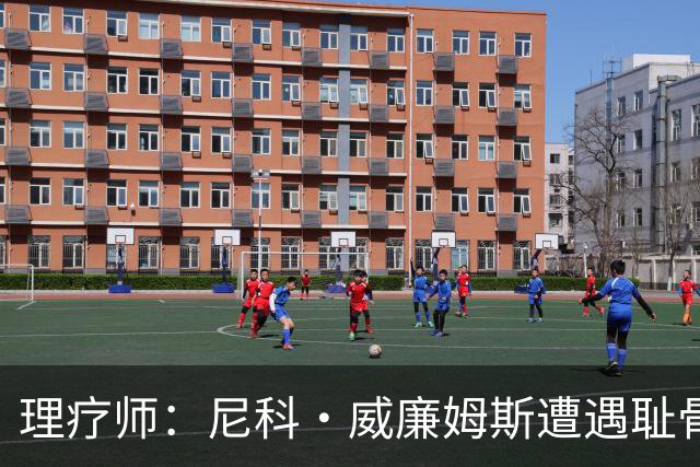 理疗师：尼科·威廉姆斯遭遇耻骨炎，能出场但无法完成100%加减速