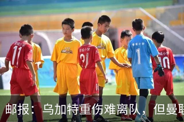 邮报：乌加特重伤难离队，但曼联引进埃德松和M费计划不受影响