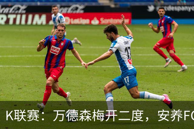 K联赛：万德森梅开二度，安养FC2-3浦项制铁
